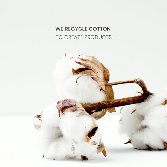 Cotton recycle เส้นใยใหม่ สู่โลกที่ยั่งยื่น