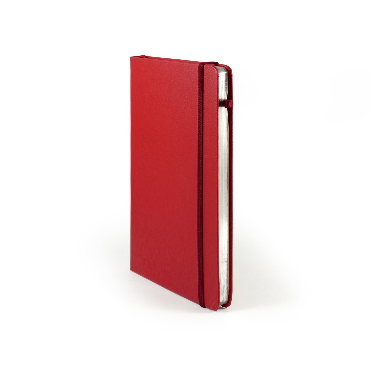 Folio Silver Edge Notebook A5 (Ruled) : สมุดขอบเงินขนาด A5 (แบบมีเส้น)